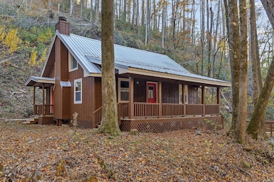 180 Cohutta Forest Rd, Ellijay, GA 30540 - photo 2