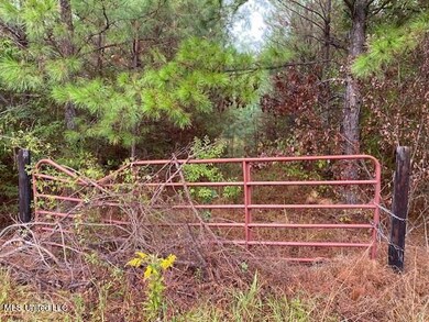 5 hunting-property-copiah-county