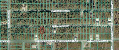 TBD NW Tamarind Ln, Dunnellon, FL 34431 - photo 2