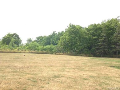 Yard.