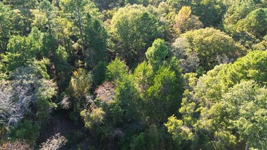 000 Cr 4330, Larue, TX 75770 - photo 4