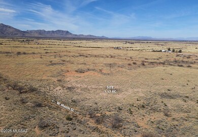 1 Lot March St unit 13, Pearce, AZ 85625 - photo 5