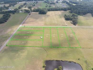 Tbd Begnaud Rd unit Lot 21, Sunset, LA 70584 - photo 7