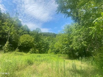 638 Old Highway 143, Roan Mountain, TN 37687 - photo 2