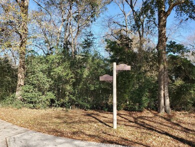 22502 Rosehurst Dr, Tomball, TX 77377 - photo 4