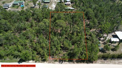 0 E Royal Oak Dr unit 372429, Perry, FL 32348 - photo 2