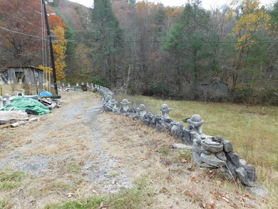 290 Angels Pass Dr, Bastian, VA 24314 - photo 5