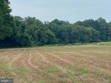 0 Tyaskin Rd unit MDWC2010254, Tyaskin, MD 21865 - photo 2