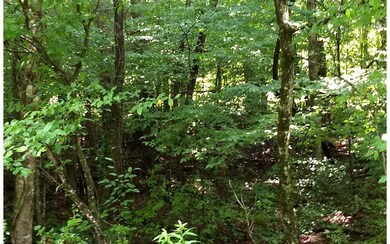 3.01 Doublehead Gap Rd, Ellijay, GA 30536 - photo 4