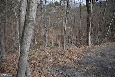 0 Nicklaus Dr unit VASH2007924, Basye, VA 22810 - photo 6