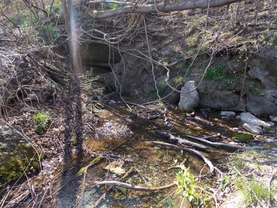 0 Spring Cir, Linden, TN 37096 - photo 4