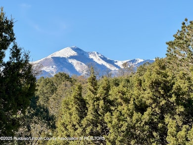 102 Tiwa Trail, Alto, NM 88312 - photo 4