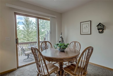 44 Ryan Gulch Rd unit A1, Silverthorne, CO 80498 - photo 7