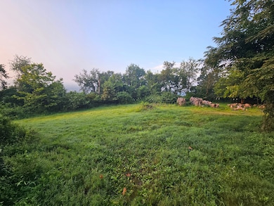 0 Rt 837, Monongahela, PA 15063 - photo 6