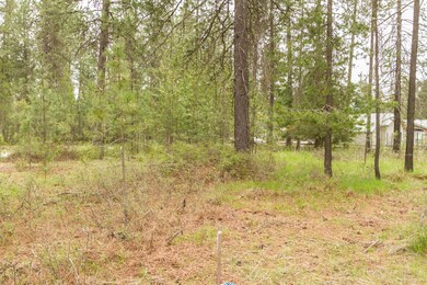 202 Eagle Dr, Chewelah, WA 99109 - photo 5