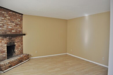 Living room /fireplace