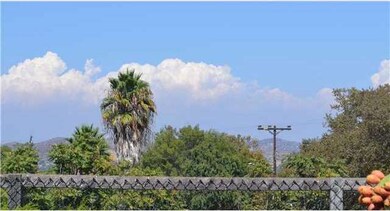 bacl yard views