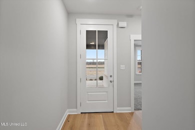 828 Quitman Ct W, Hernando, MS 38651 - photo 6