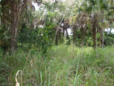 0 Belmont St Belmont St, Labelle, FL 33935 - photo 2