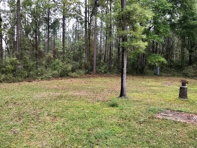 60 Richland Rd, Crawfordville, FL 32327 - photo 6