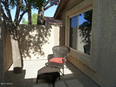 Front Patio with Grapefruit tree