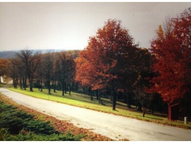 Tbd Shamrock Way, Kimberling City, MO 65686 - photo 4