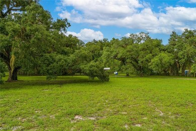 This is just the front yard, way more space in the