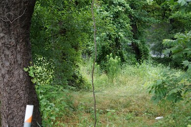 0 E 5th St, Bonham, TX 75418 - photo 7