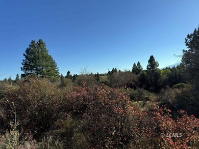 Views