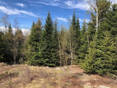 72 Baxter Ln, Bristol, ME 04539 - photo 7