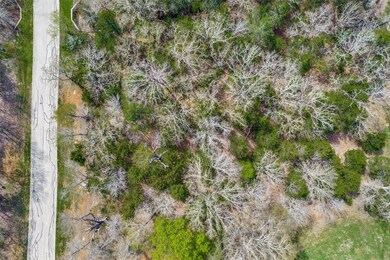 Lot 20 Block D Memorial St, Gordonville, TX 76245 - photo 3