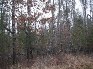 28747 Eastman Rd, Danbury, WI 54830 - photo 2