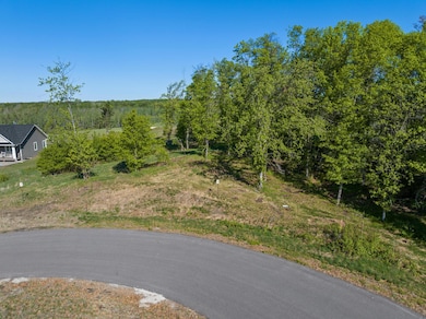 Lot 15 .58 Acres 164 Tom Lehman Dr, First Assessment, MN 56401 - photo 3
