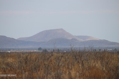 IMG_060