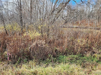 0 New York 294, Boonville, NY 13309 - photo 6