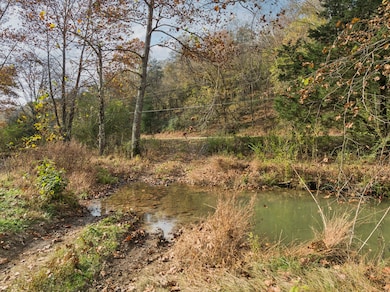 0 Club Springs Rd unit RTC3048648, Elmwood, TN 38560 - photo 6