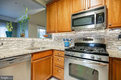 11302 Westbrook Mill Ln unit 304, Fairfax, VA 22030 - photo 4