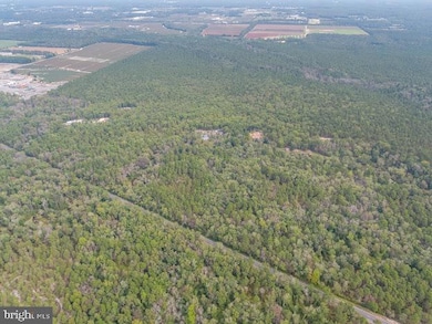 1528 Mays Landing Rd, Hammonton, NJ 08037 - photo 2