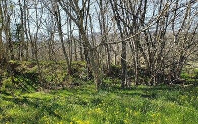 Additional View