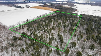 20 Acres County Road D, Waupaca, WI 54981 - photo 3