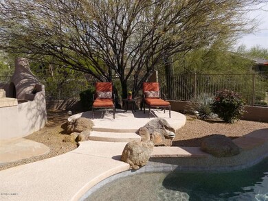 Backyard4