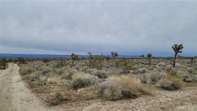 0 202nd St E & Ave X4 unit SR25047694, Llano, CA 93544 - photo 2