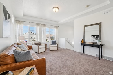 Carpeted living area with a raised ceiling and a textured ceiling