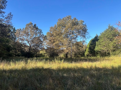 000 Timbercrest Rd, Viola, AR 72583 - photo 6