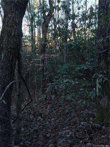 Hardwoods and Rhododendron.