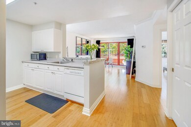 Emerson House on the Park unit 210, Washington, DC 20037 - photo 3