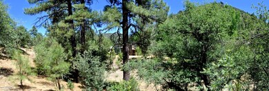 007_Hillside