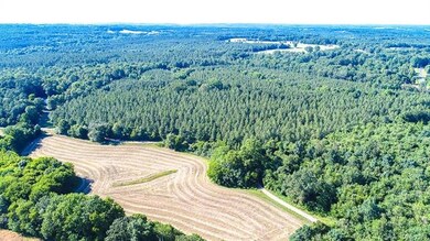 Drone view of the approx. 5 acres of farmed land