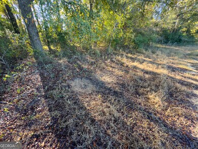 1 Georgia 17, Wadley, GA 30477 - photo 4