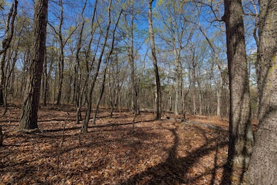 TBD Shotgun Spring Rd, New Market, VA 22844 - photo 6